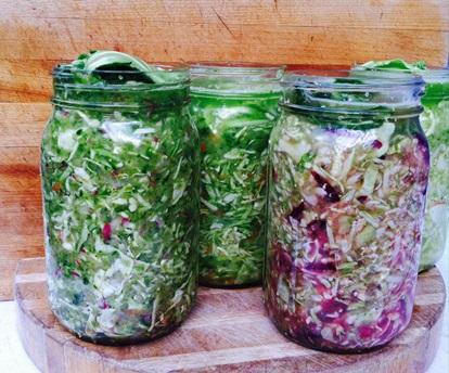Sauerkraut-Blog