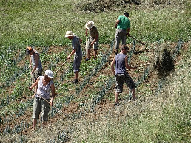 39683047735_8b72f6e40f_z