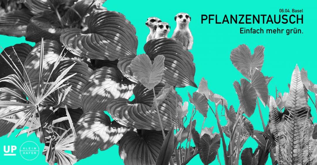 Pflanzentausch_0