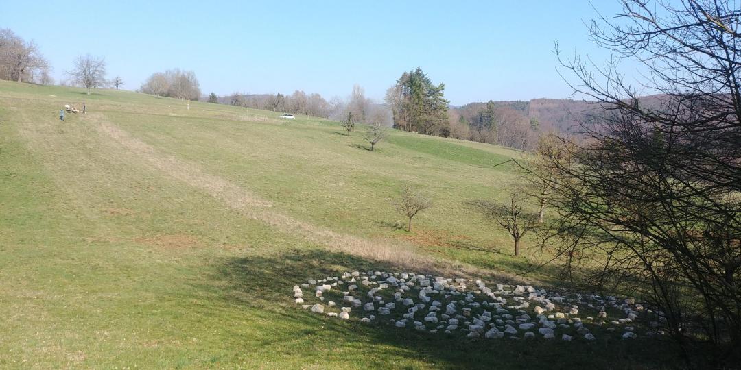 20190320_144942