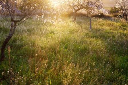 55470256_1287652624730380_7426189065432596480_n_1