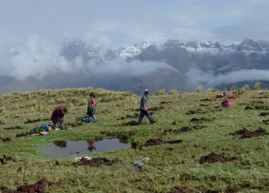 Peru.png