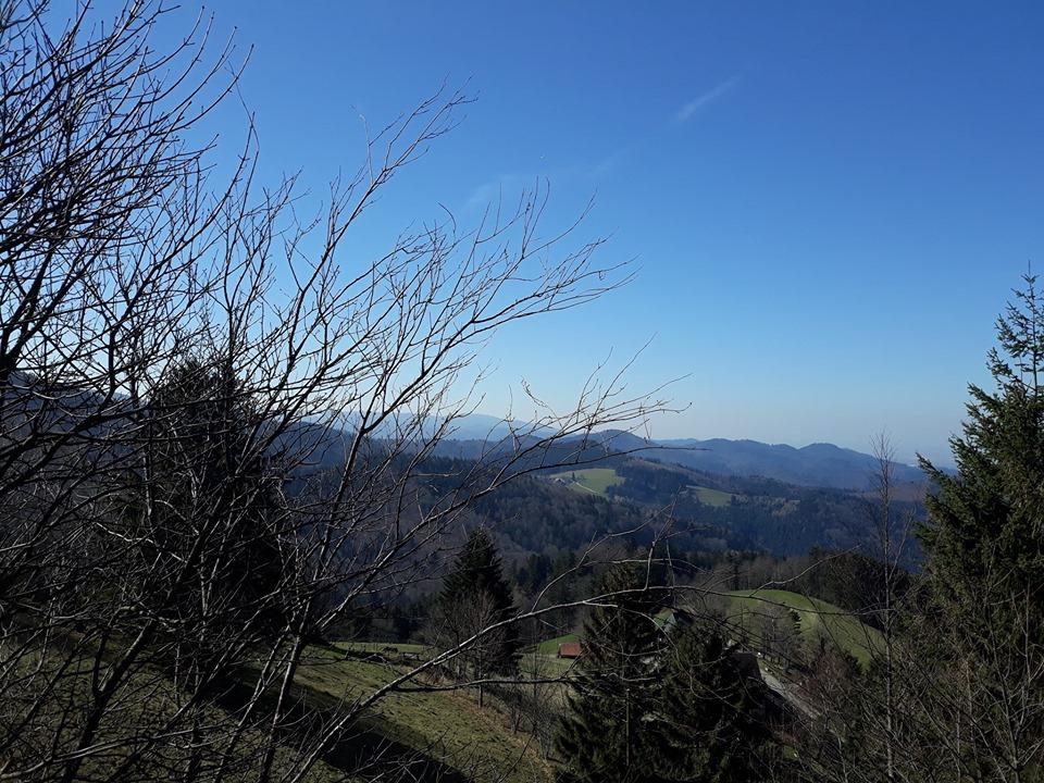 schwarzwald