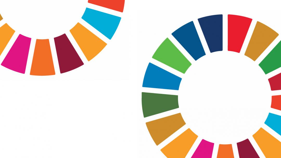 sdg-wheels