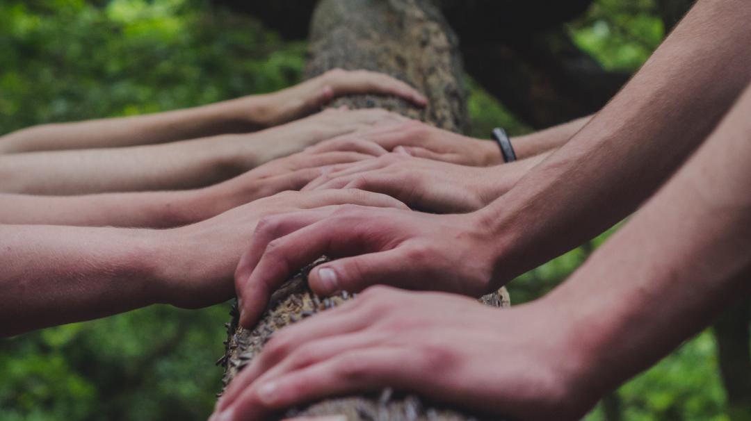 shane-rounce_unsplash_Ausschnitt