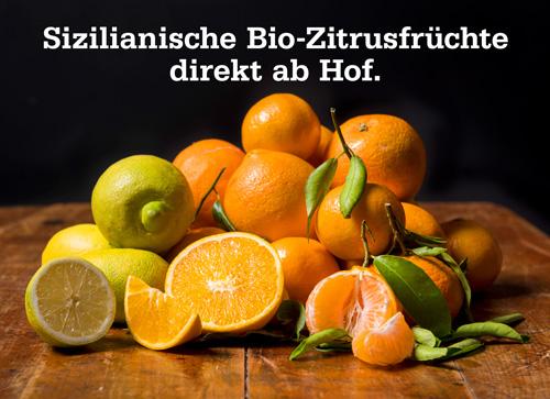 Header_Zitrusfru%CC%88chte_mobile.jpeg