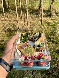 IMG_1459.jpeg