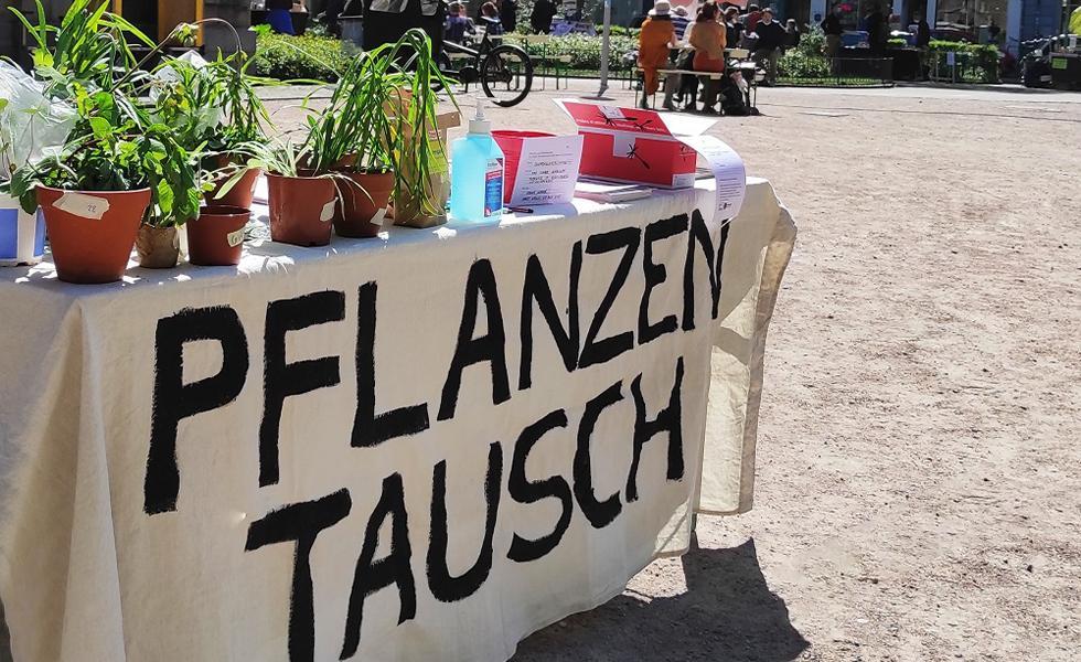 Pflanzentausch_e3583217c1.jpeg
