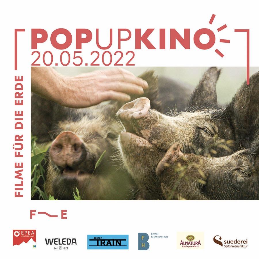 Pop-up_visual_hoch_web.jpeg