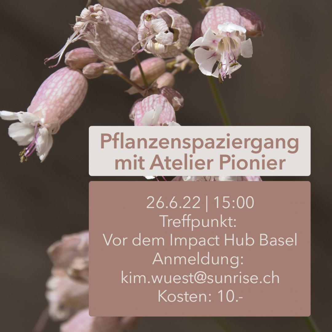 PflanzenspaziergangJuni