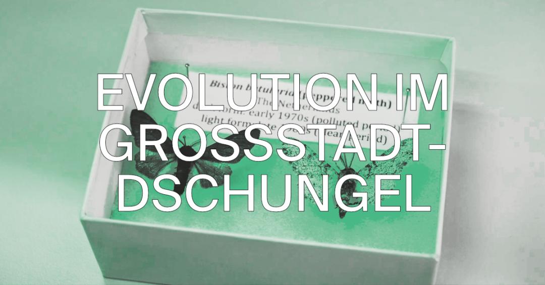 EVOLUTION%20IM%20GROSSSTADTDSCHUNGEL