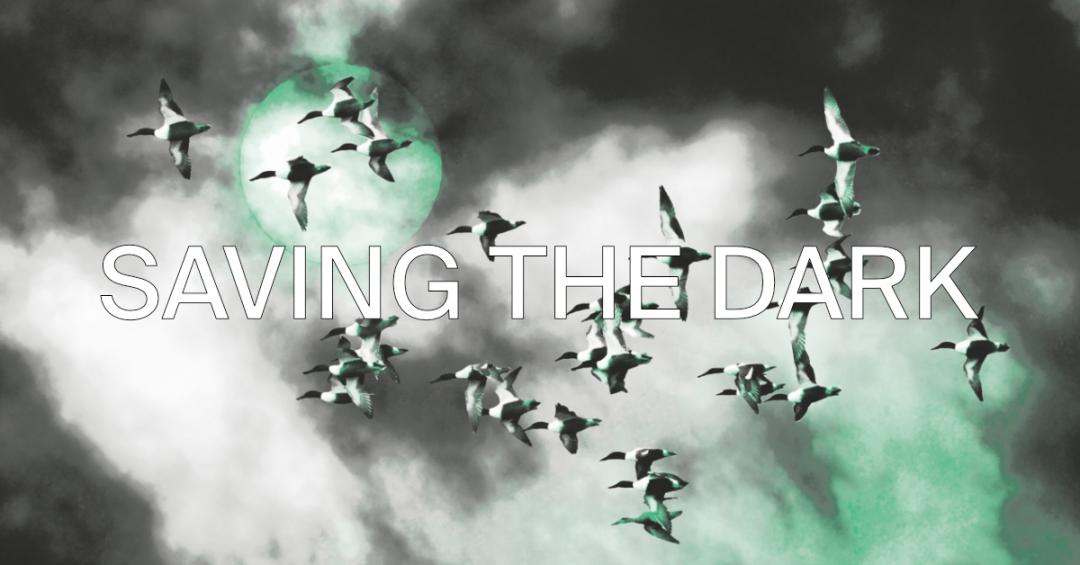 SAVING%20THE%20DARK