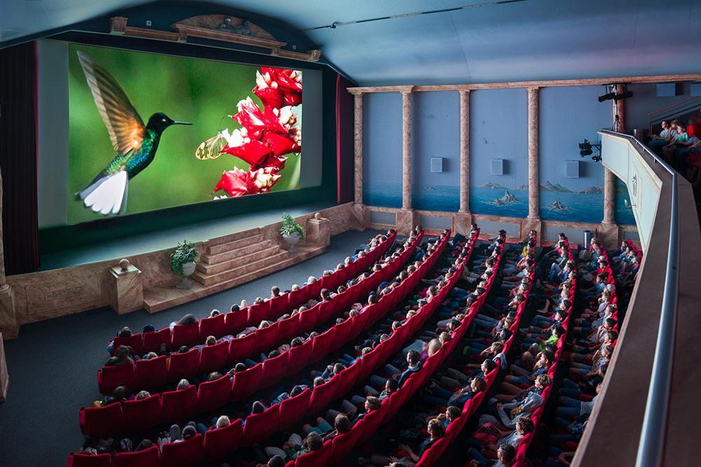 bild_kino_klein