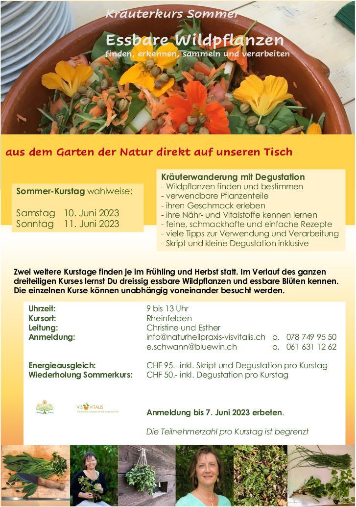 Sommerkurs%20Essbare%20Wildpflanzen%202023%20I