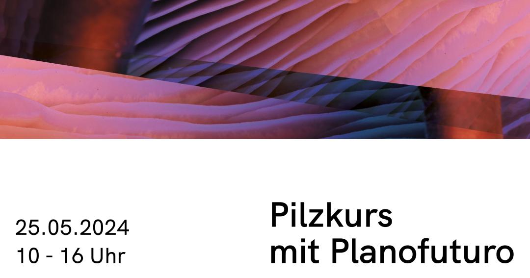Facebook_Pilzkurs