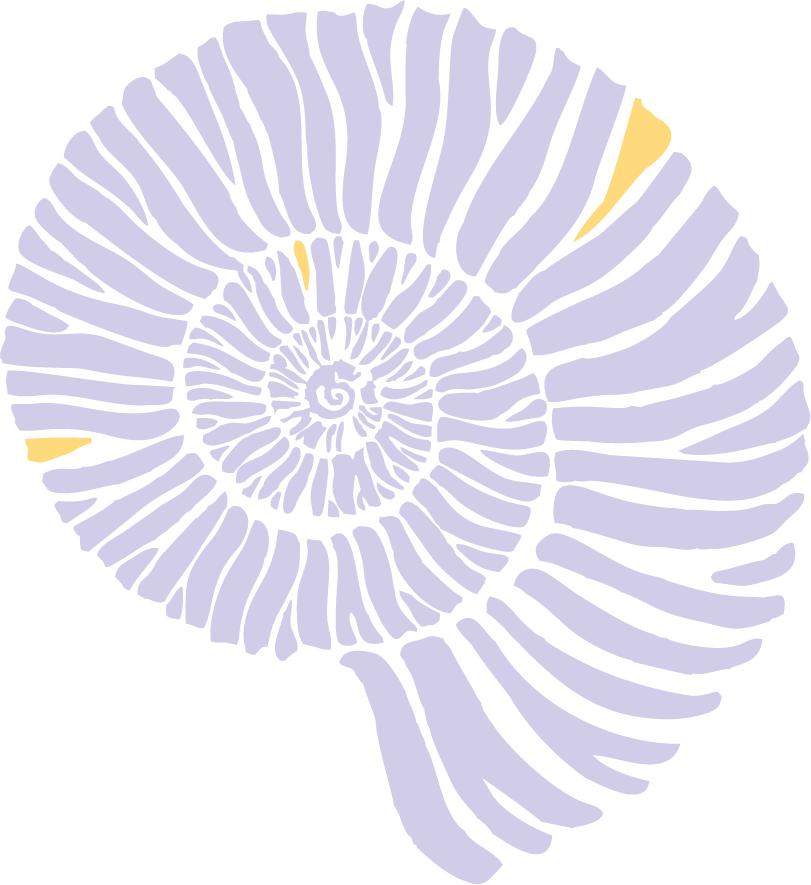 tara-yoga_AMONIT_web.png