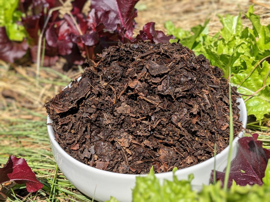 Kompost%20-in-der-schale