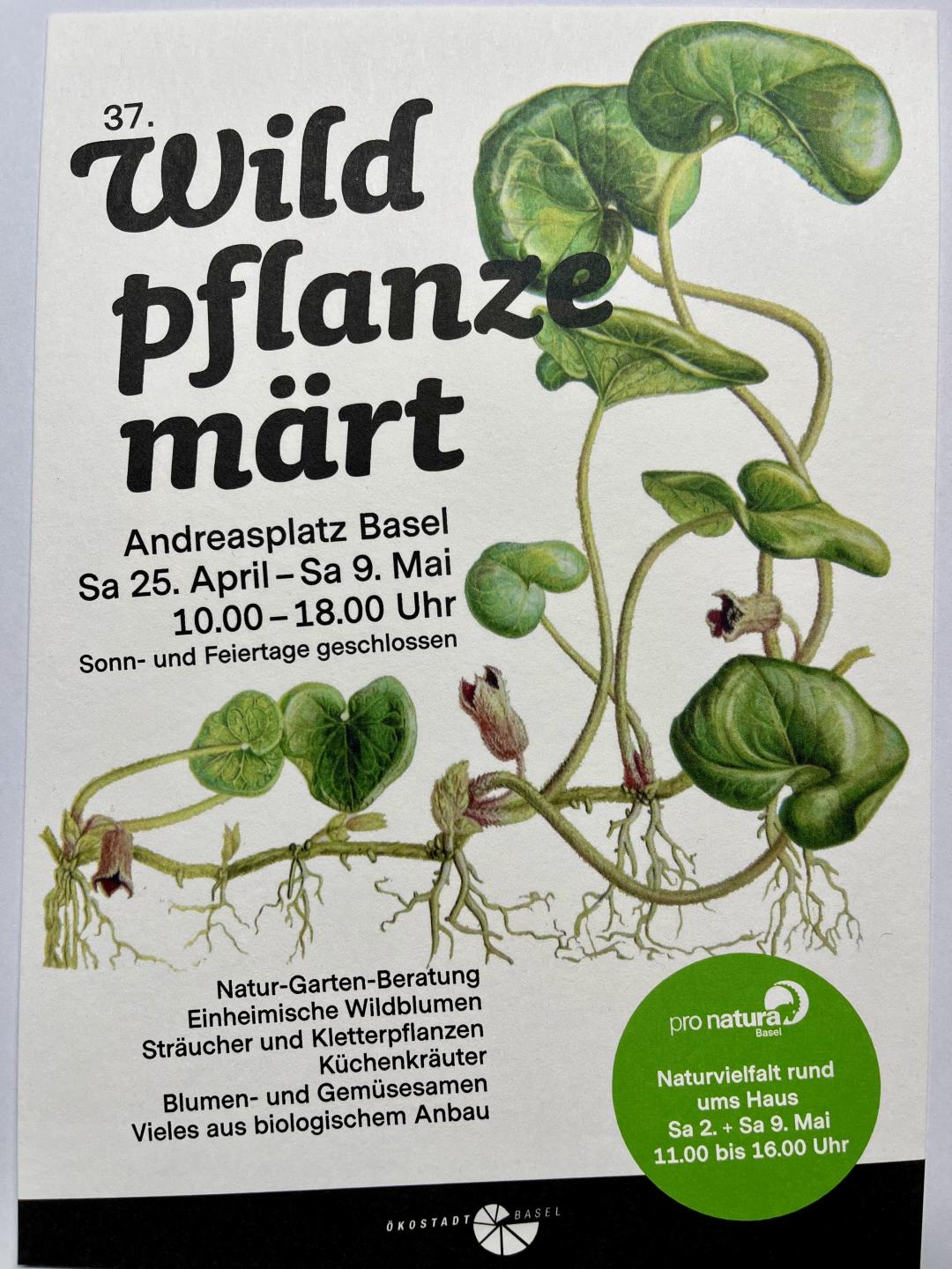 Wildpflanzemaert2026.jpeg