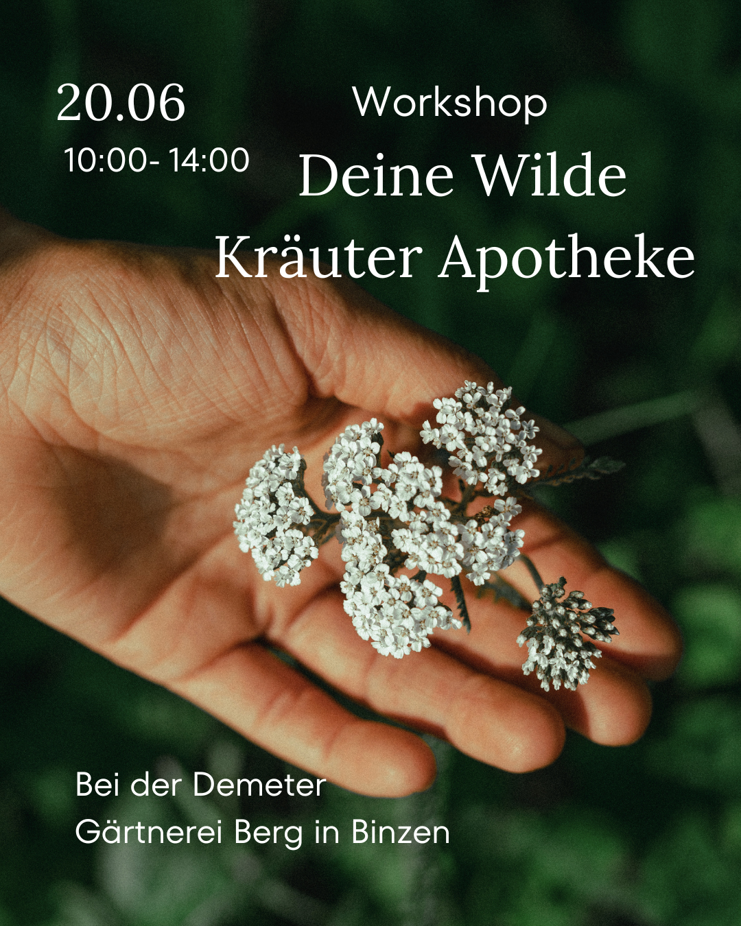 Dein%20Abschnittstext%20%281%29.png