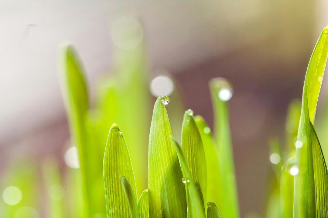 francois-linde-XcInYtgtm3A-unsplash%203