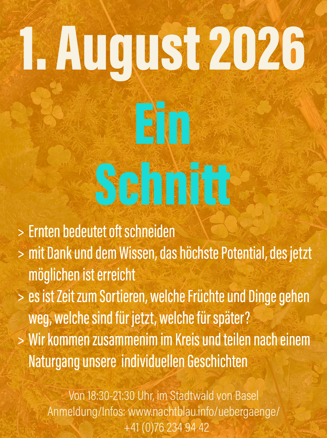 260801_ein%20Schnitt.png