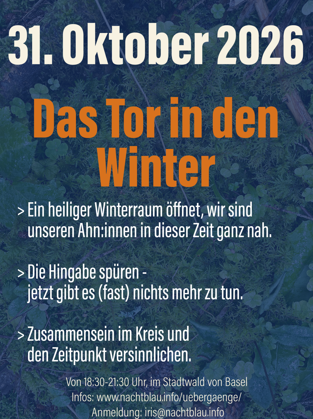 Wintertor_web_261031.png