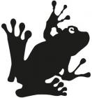 Kreti%20und%20Pleti_Frosch_gross