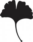 logo_transparent