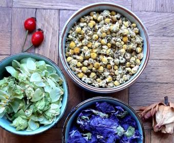 Heilpflanzen%20getrocknet