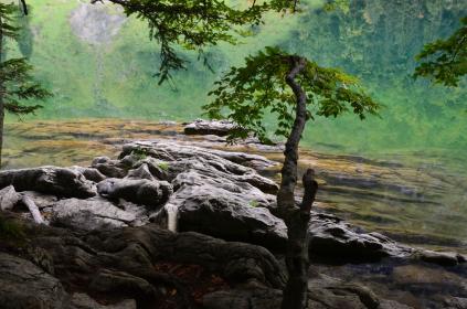 Glarus-See