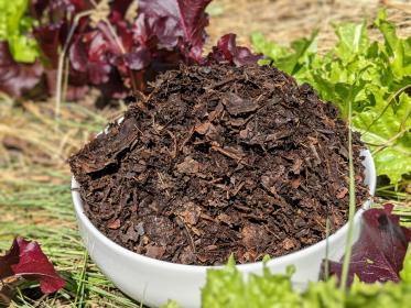 Kompost%20-in-der-schale