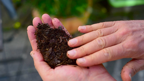 kompost%20haende.png
