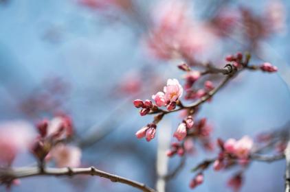 Bild%2020.03.26%20um%2018.54