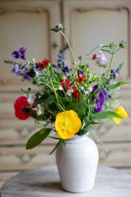 PupilaPhotography_0046