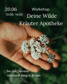 Dein%20Abschnittstext%20%281%29.png