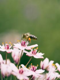 aaron-burden-6csuZQ9oZcI-unsplash