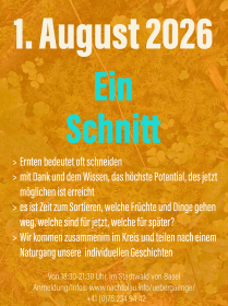 260801_ein%20Schnitt.png