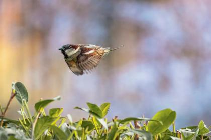 sies-kranen-Di_r7vntAuU-unsplash